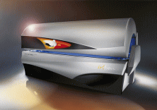 ワイルドエンジェル|ソルトロンジャパン静岡